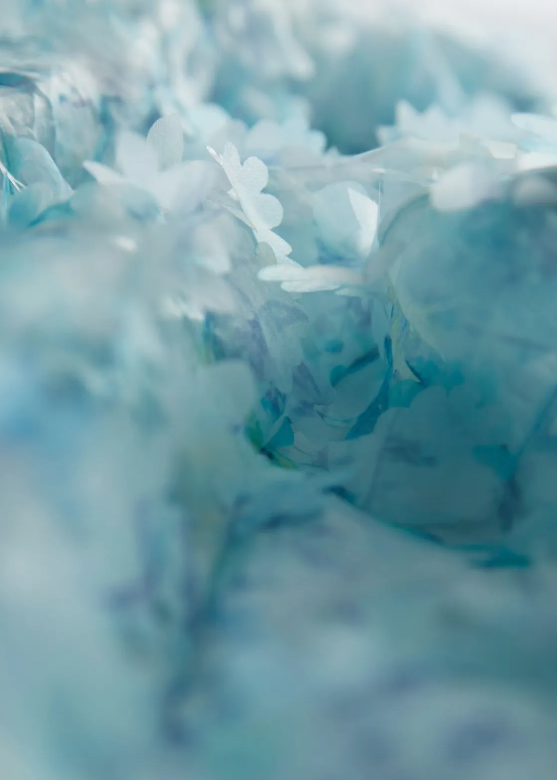 Floral-Appliqué Midi Dress