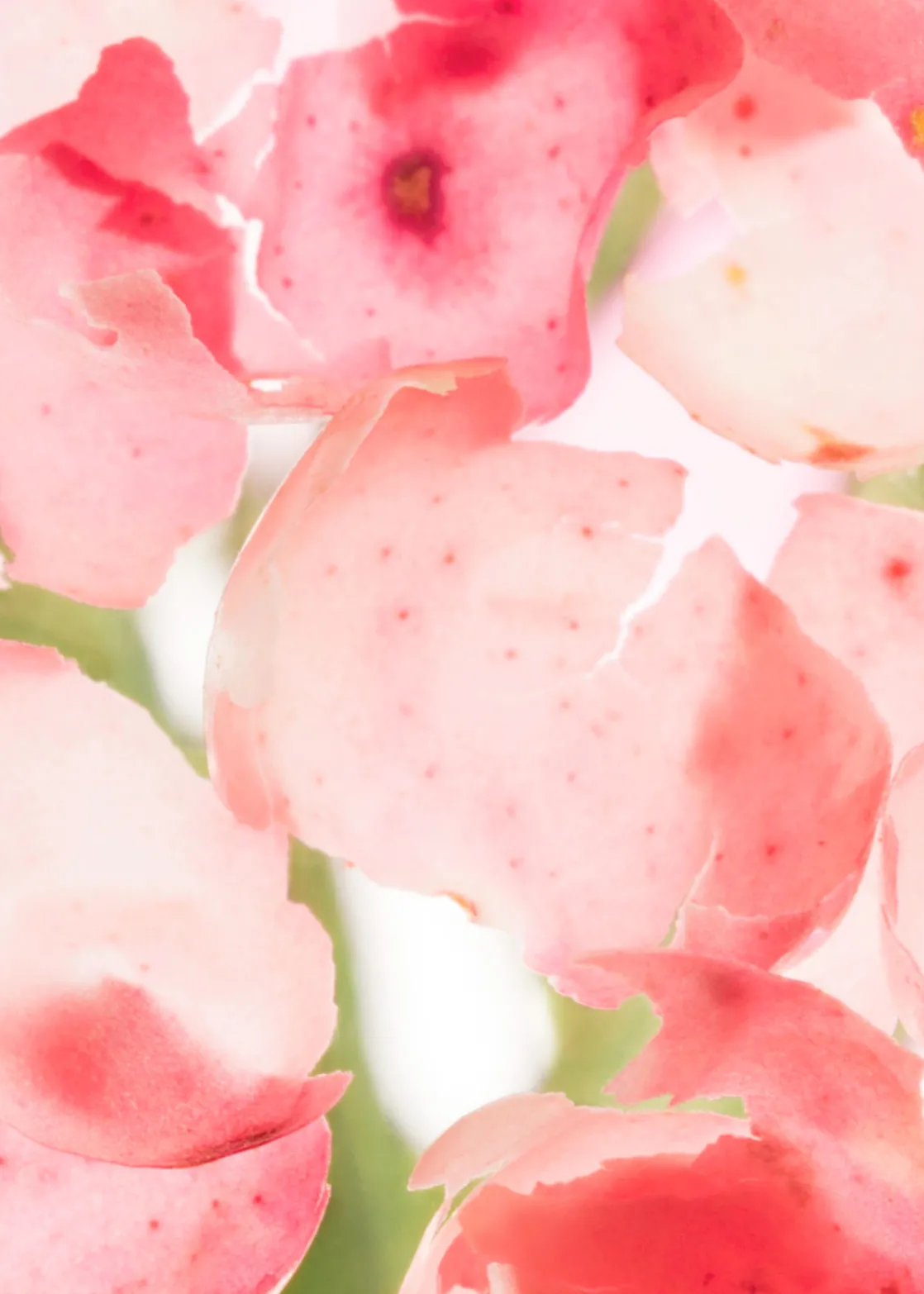 Arabesque Wood Hand Lotion