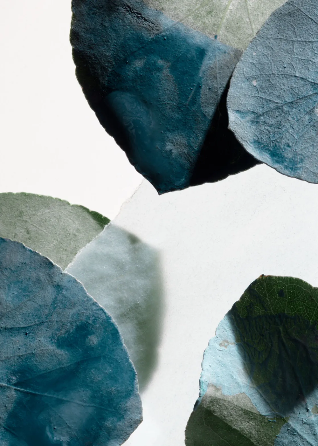 Arabesque Wood Hand Lotion