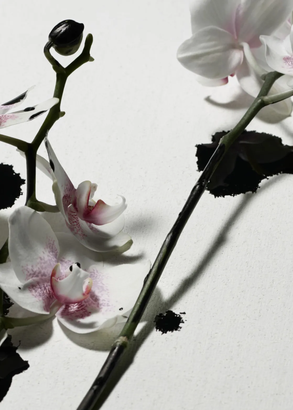 Arabesque Wood Hand Lotion